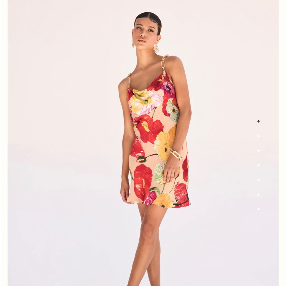 Cult Gaia Nerida Dress